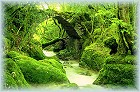 Le pont de la Pie du Dard&nbsp; - �&nbsp;Fran�ois Bonneville
