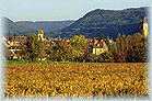Le vignoble d'Arbois � l'automne&nbsp; - �&nbsp;Fran�ois Bonneville