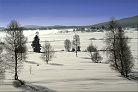 Le Grandvaux&nbsp; - �&nbsp;Fran�ois Bonneville